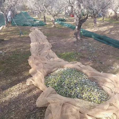 Ai Bastiani بيت للعطل كابانّوري