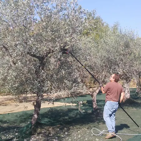 بيت للعطل Ai Bastiani كابانّوري