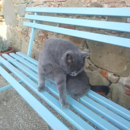 Ai Bastiani بيت للعطل *