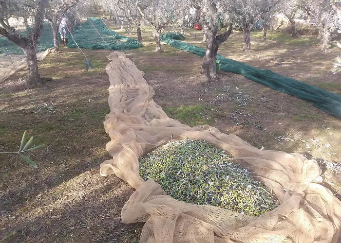 Ai Bastiani 펜션 카판노리