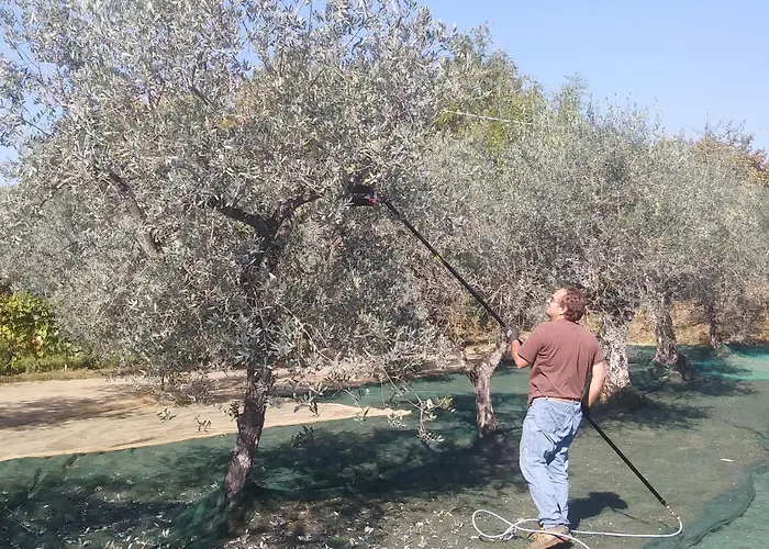 Дом отдыха Ai Bastiani Капаннори