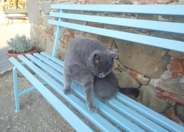 Ai Bastiani Дом отдыха *