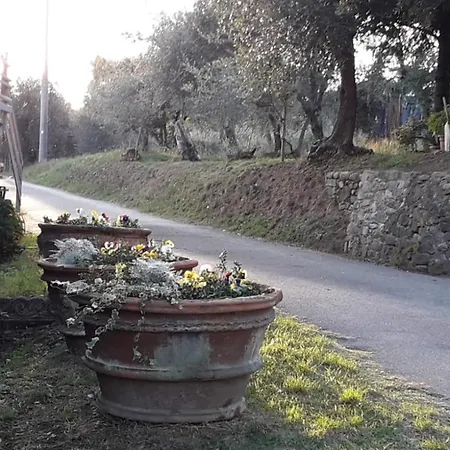 Ai Bastiani * Capannori